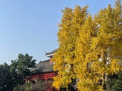 -钦善斋·养生膳食·精典川菜(武侯祠店)