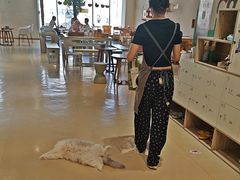 -藏猫猫咖啡主题馆(中央大道店)