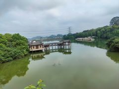 -水濂山森林公园