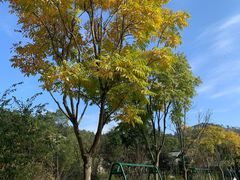 -黄陂区野村谷景区