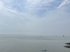 -合肥滨湖国家森林公园