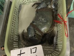 -龙海鲜螃蟹王(宏茂桥店)