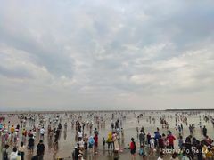-奉贤海滩
