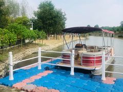 -合肥滨湖国家森林公园