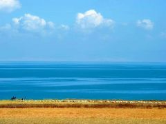 -青海湖国家重点风景名胜区