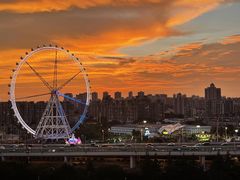 -锦江乐园舞狸花花游园会(夜场专享)