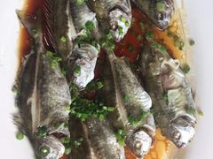 -顺德佬酒楼(愉龙店)