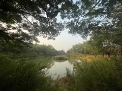 -福田红树林生态公园