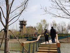 -东郊湿地公园