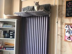 -青春加萌照相馆