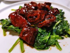 碧绿肥肠-江南郡府(天宝路店)