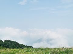 -白草畔自然风景区