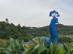 -东莞植物园