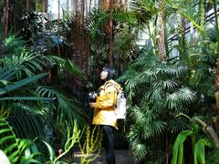 -国家植物园南园