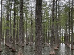 -渌洋湖湿地公园