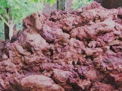 -海口火山口国家地质公园