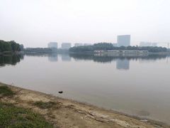 -大兴滨河森林公园