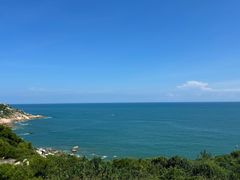 -广东惠东海龟国家级自然保护区