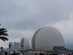 -野狸岛