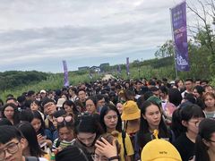 -上海国际音乐村