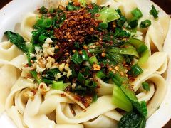 牛肉油泼扯面-马振面(小皮院店)