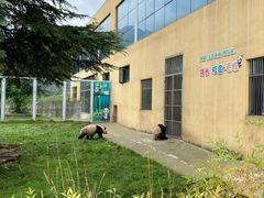 -西安秦岭野生动物园