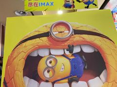 -华谊兄弟影院(IMAX洋桥店)