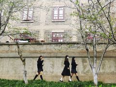 -武汉大学-樱园