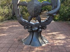 -广东惠东海龟国家级自然保护区