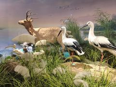 -湖南省地质博物馆