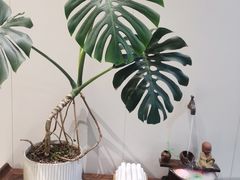 -莱蔻·圣灸堂·推拿艾灸(天山店)