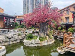 -鲜璟山院