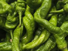 -韶山红湘菜馆(平原路店)