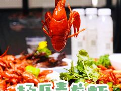 -杨氏青龙虾·羊蝎子(托乐嘉店)