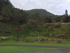 -钻石头山