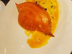 -海派悦庭·海胆烧麦·新融合菜(凯德广场店)