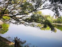 -江心屿景区