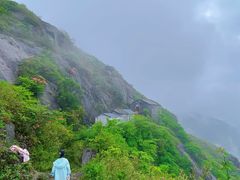 -大围山国家森林公园