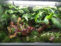 -UCCA Kids 儿童美育