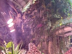-正佳雨林生态植物园