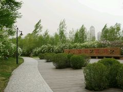-群力丁香公园