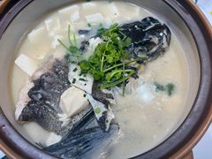 -全乐鱼馆·淳牌有机鱼直营店