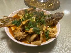 -煲来饱去冷水鱼