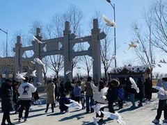 -天津妈祖文化园