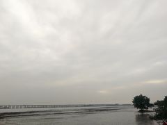 -宝安西湾红树林湿地公园