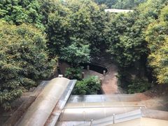 -荔城生鲜盛宴(番禺旗舰店)