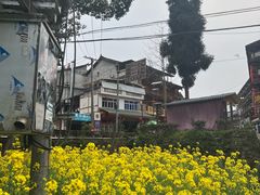 -雅安上里古镇
