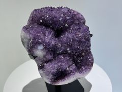 -上海自然博物馆