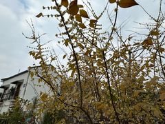 -白鹭湾湿地公园