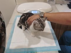 -萌兽医馆·犬猫专科·眼科中心·宠物医院(朝阳门分院)
